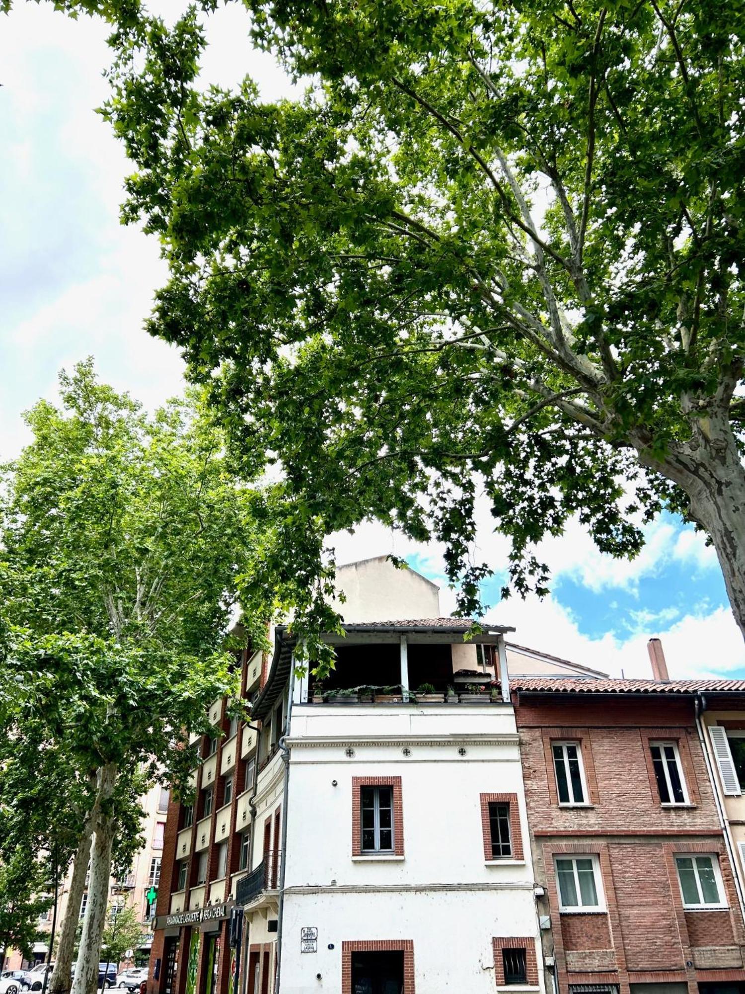 Loft Garonne - Centre Ville Immeuble Privatif Toulouse Kültér fotó